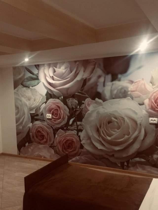 Guesthouse Raisa Kvareli Eksteriør bilde